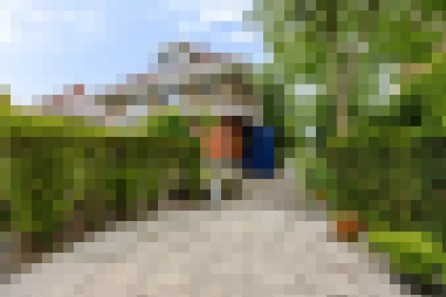 Treslonglaan 45 Den Haag thumbnail 34