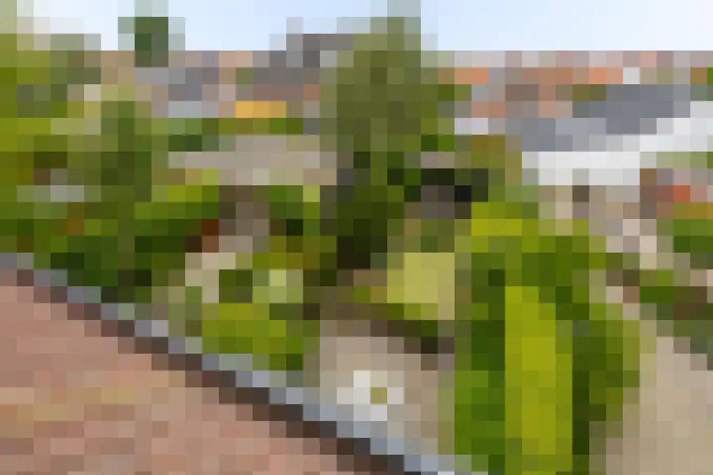 Treslonglaan 45 Den Haag thumbnail 38