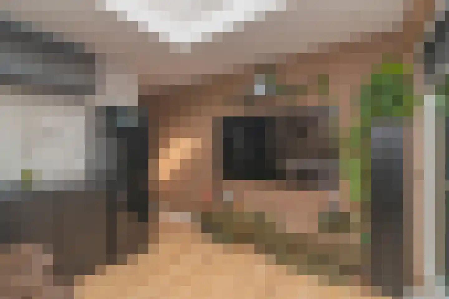 Treslonglaan 67 Den Haag thumbnail 17
