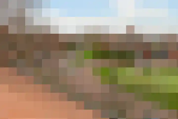 Treslonglaan 69 Den Haag thumbnail 42
