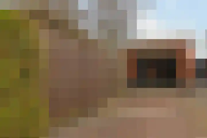 Treslonglaan 69 Den Haag thumbnail 8