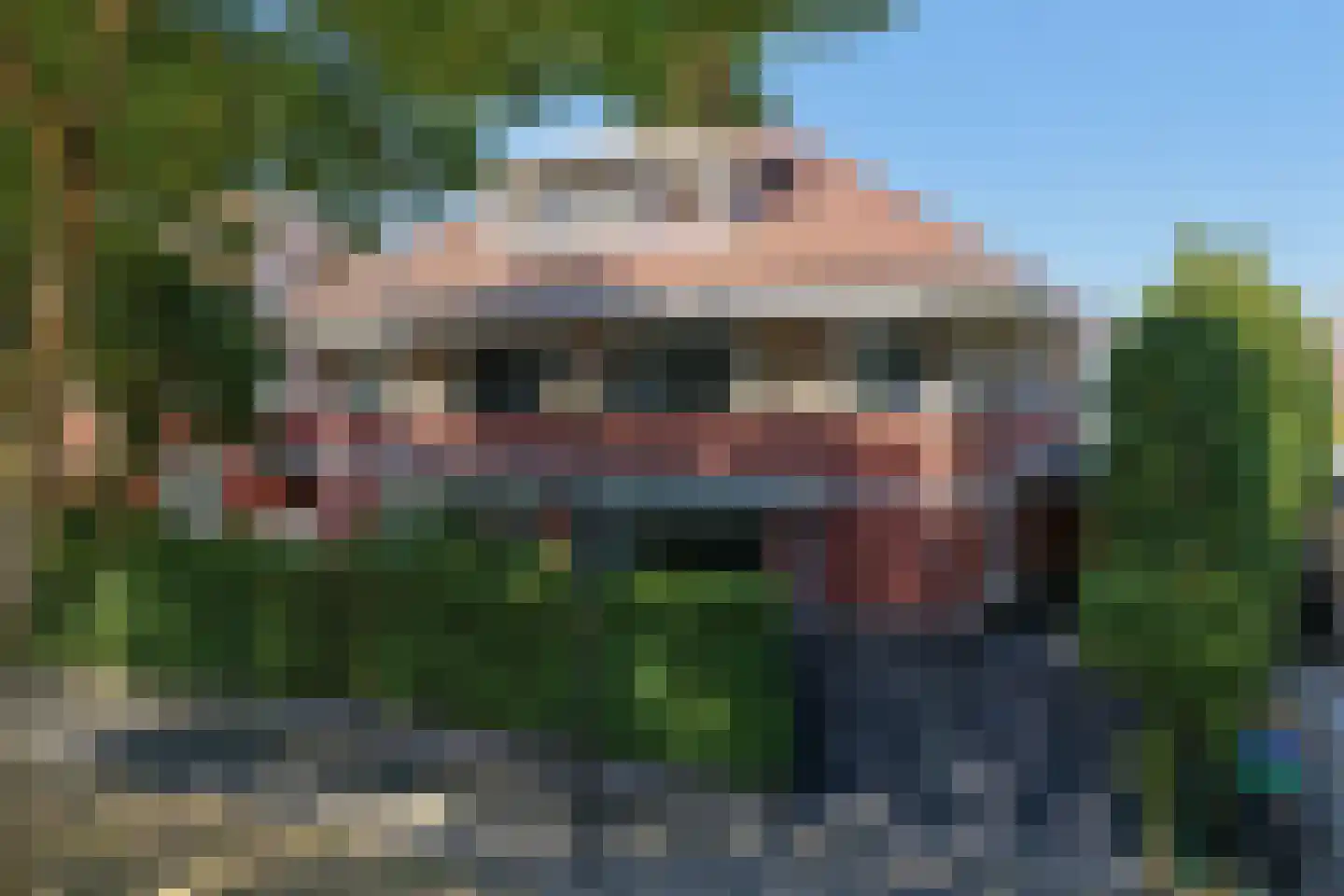 Treslonglaan 75 Den Haag thumbnail 40