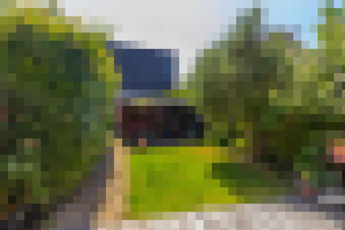 Treslonglaan 84 Den Haag thumbnail 18