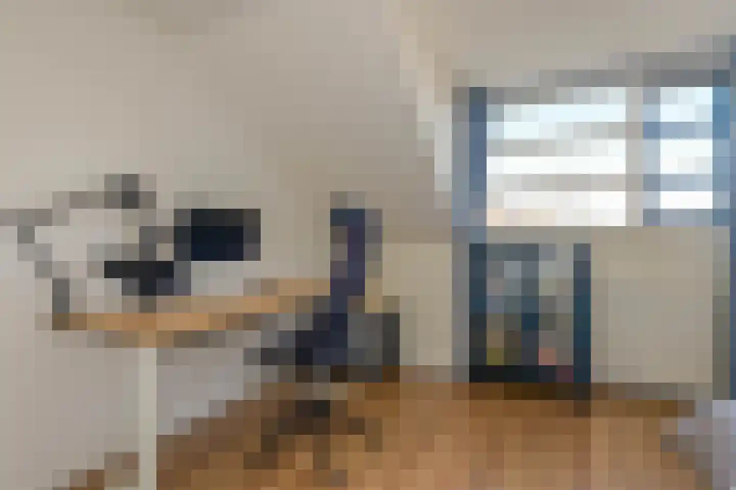 Treslonglaan 84 Den Haag thumbnail 36