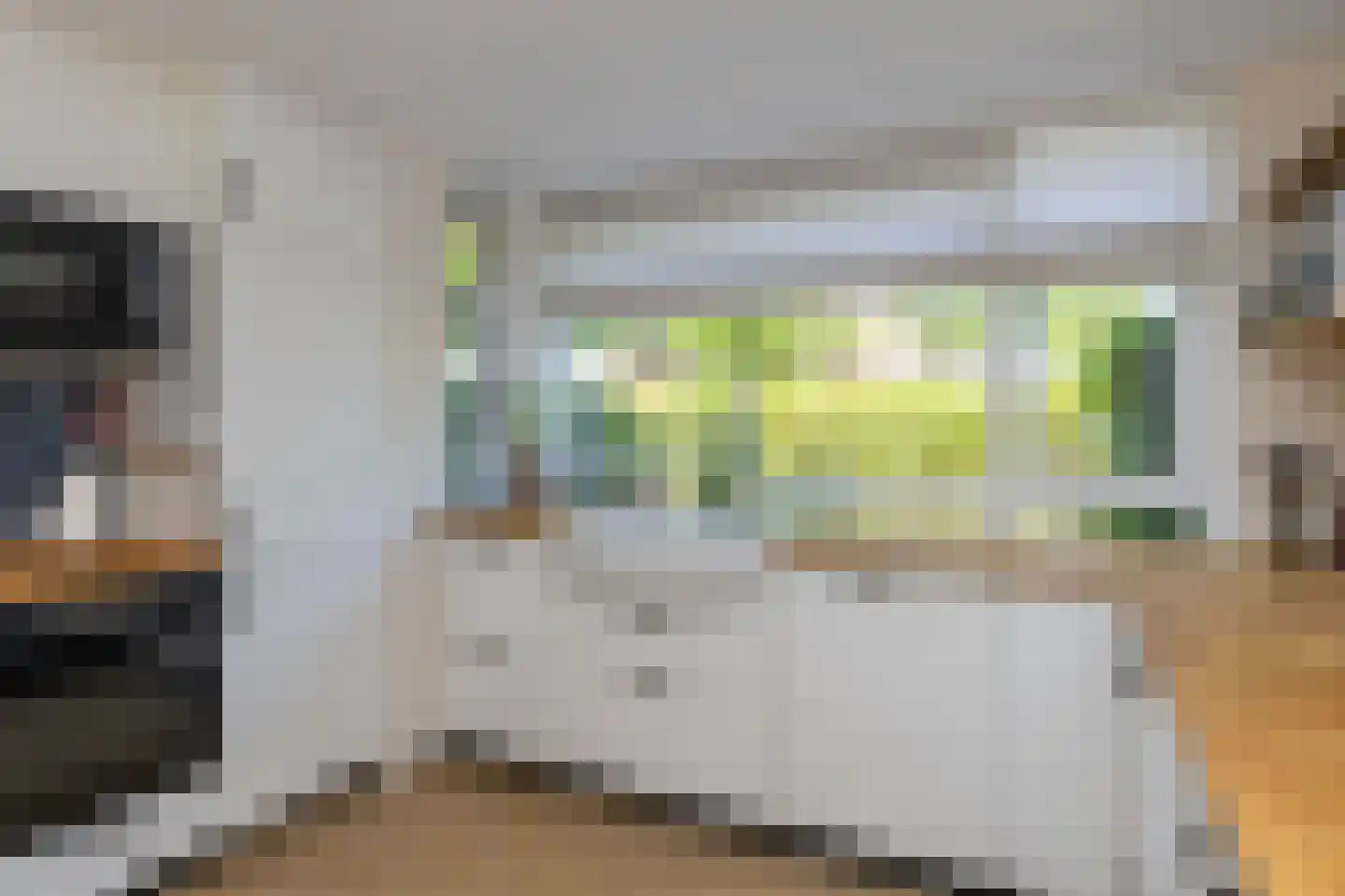 Treslonglaan 84 Den Haag thumbnail 8