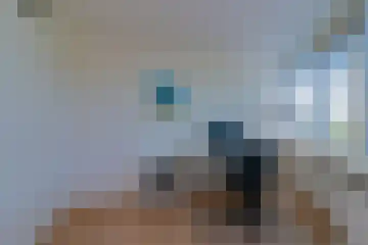 Treslonglaan 98 Den Haag thumbnail 13