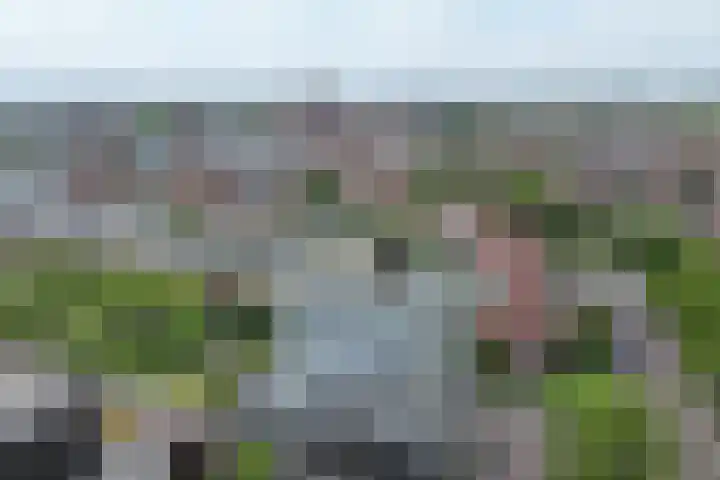Treslonglaan 98 Den Haag thumbnail 39