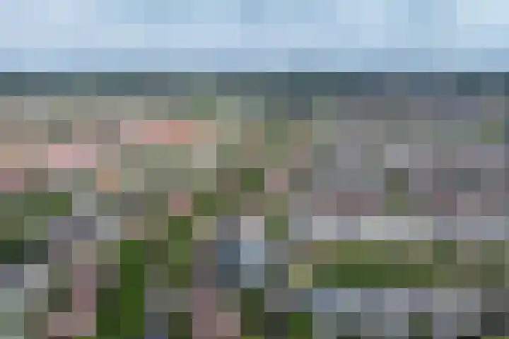 Treslonglaan 98 Den Haag thumbnail 43