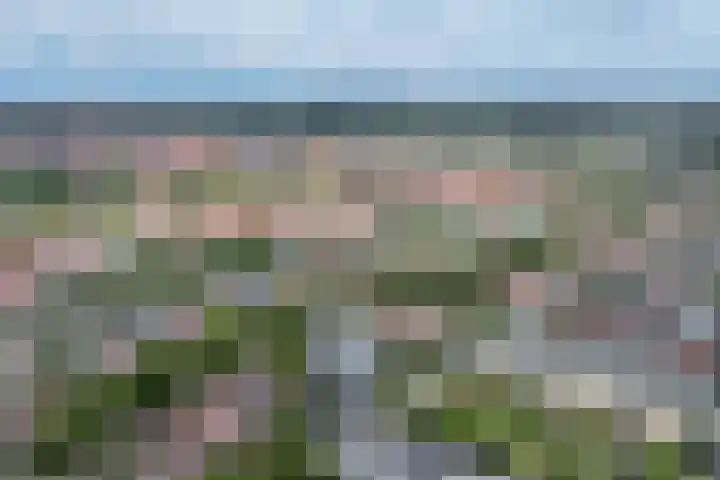 Treslonglaan 98 Den Haag thumbnail 44