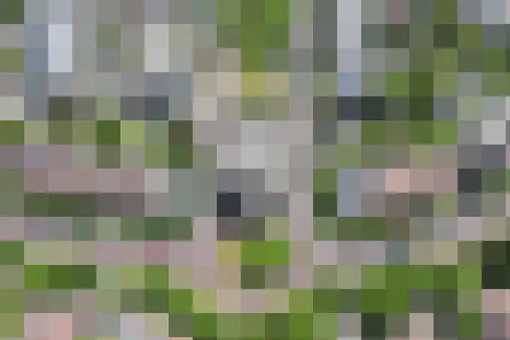 Treslonglaan 98 Den Haag thumbnail 50