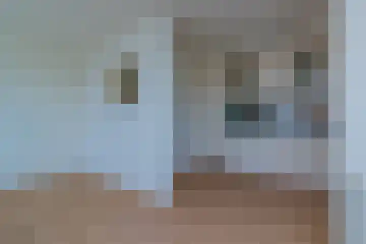 Treslonglaan 98 Den Haag thumbnail 9
