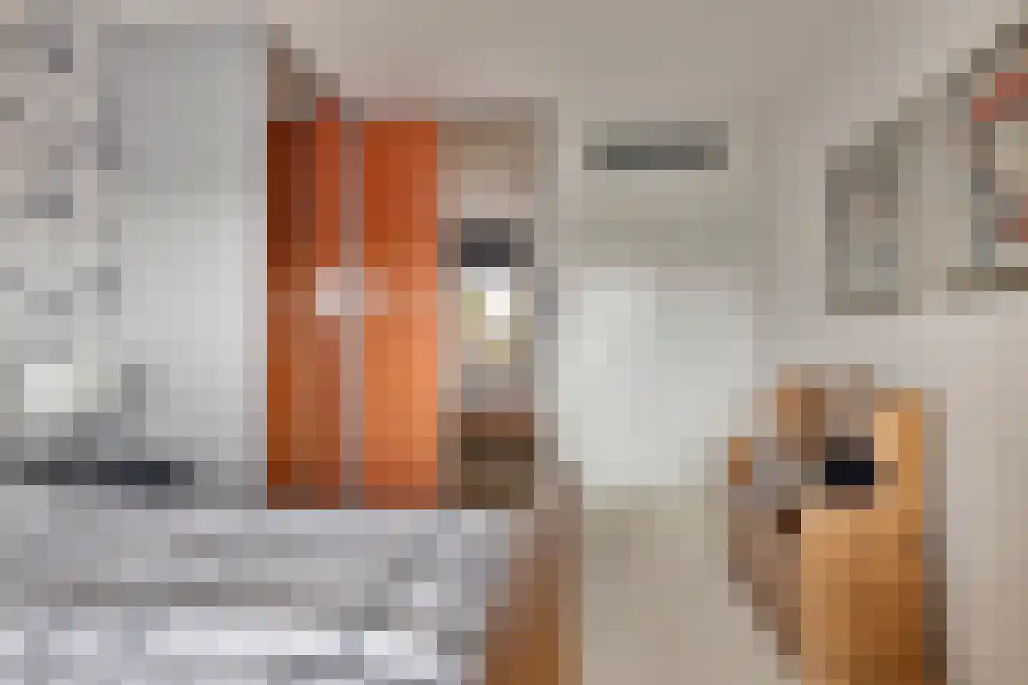 Treslongstaete 12 Hillegom thumbnail 19