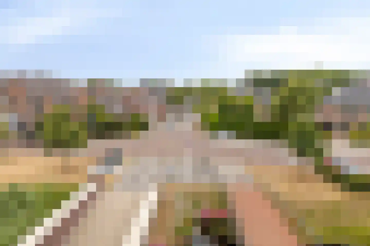 Treslongstaete 12 Hillegom thumbnail 28