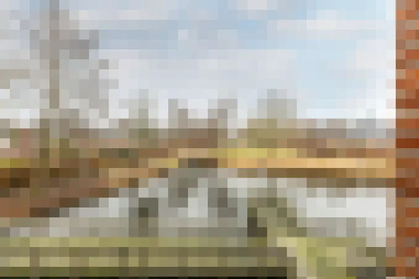 Treslongstaete 6 Hillegom thumbnail 11