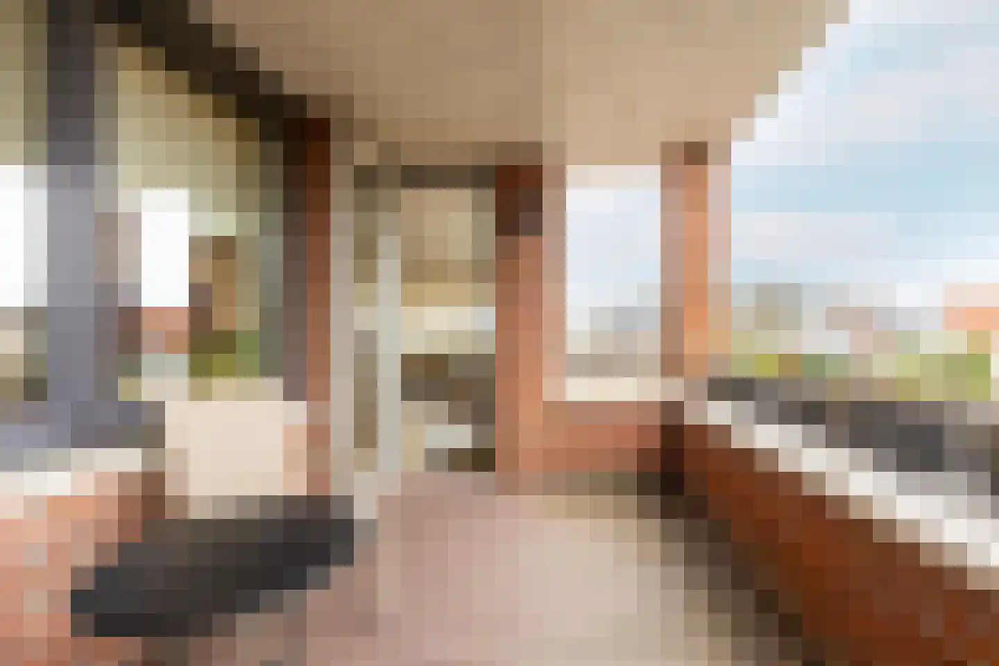 Treslongstaete 6 Hillegom thumbnail 12