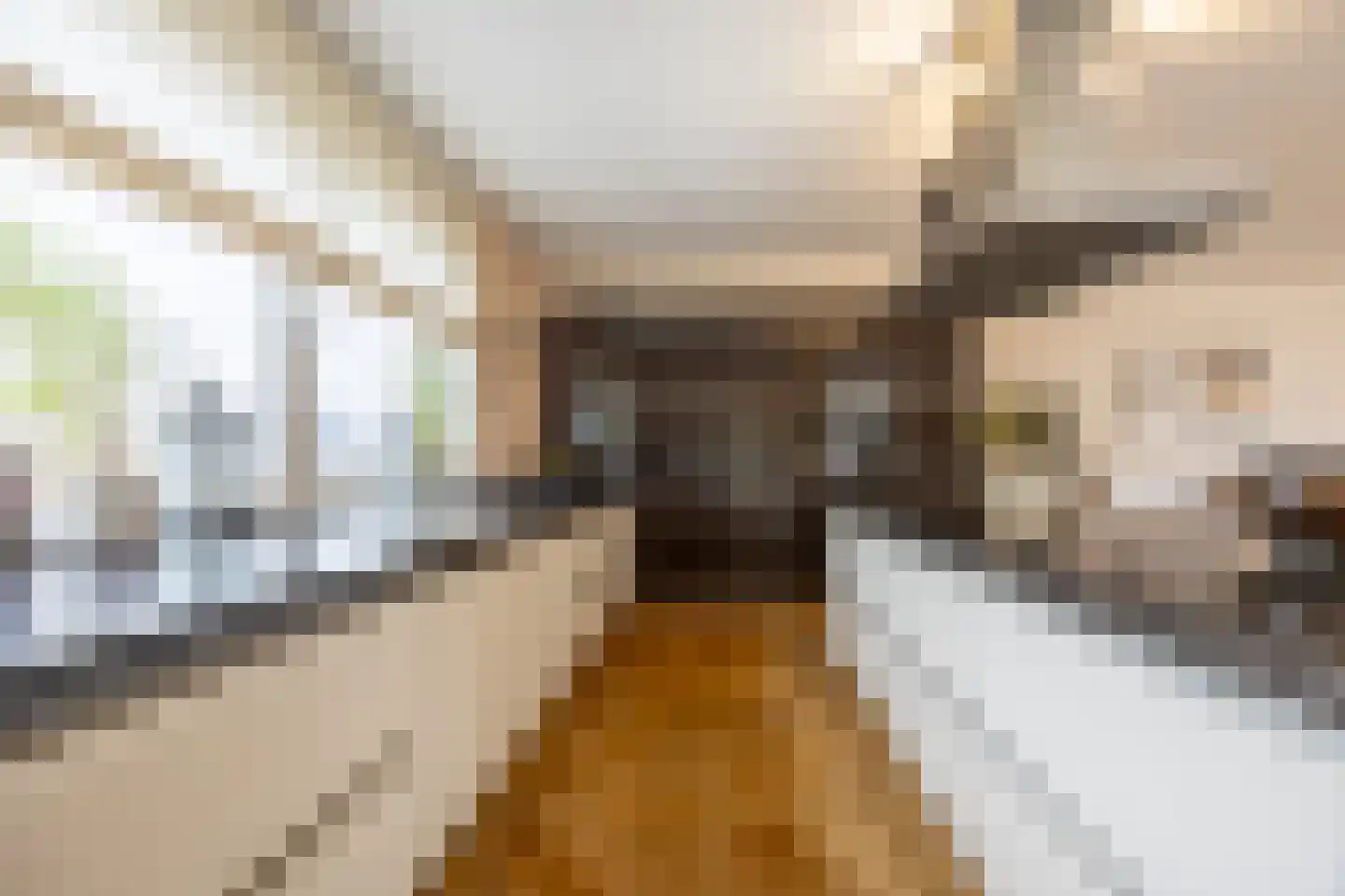 Treslongstaete 6 Hillegom thumbnail 19