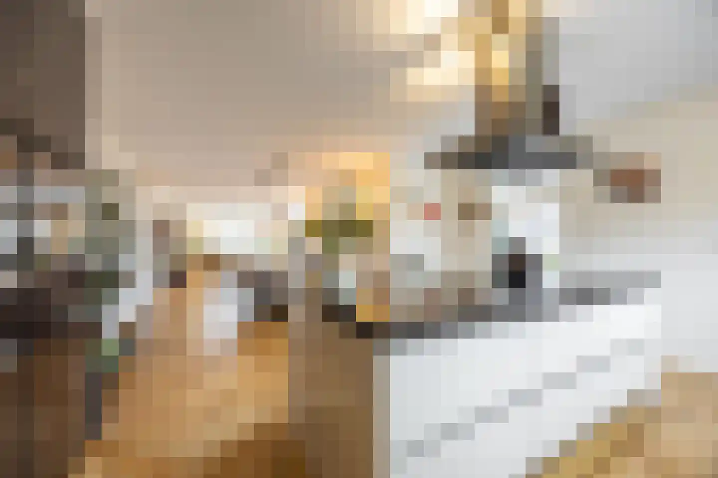 Treslongstaete 6 Hillegom thumbnail 21
