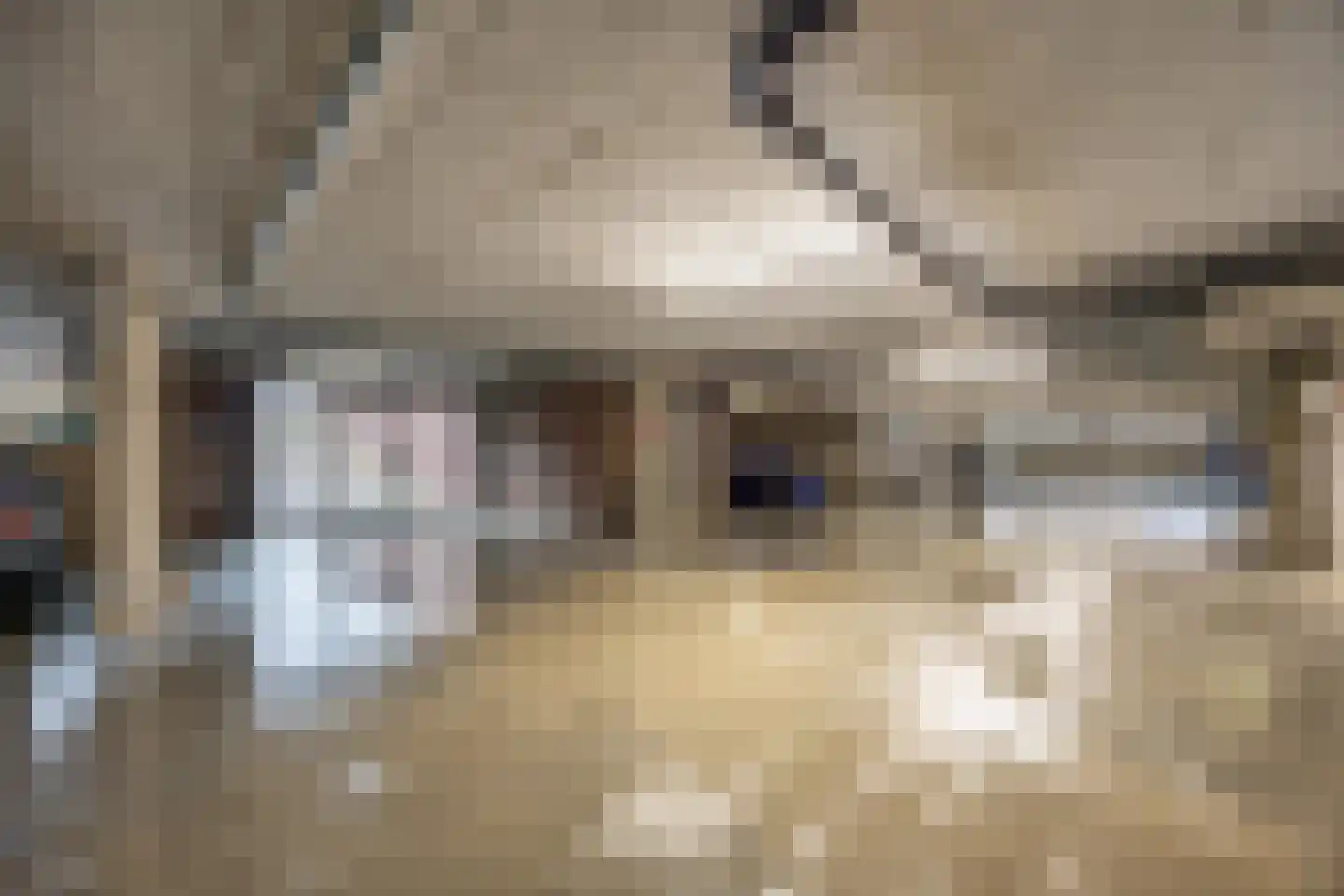 Treslongstaete 6 Hillegom thumbnail 34