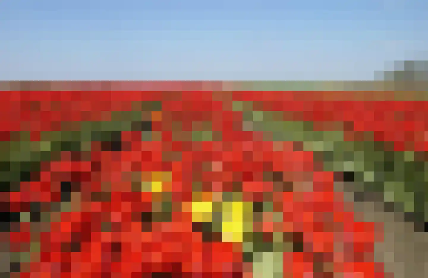 Treslongstaete 6 Hillegom thumbnail 39