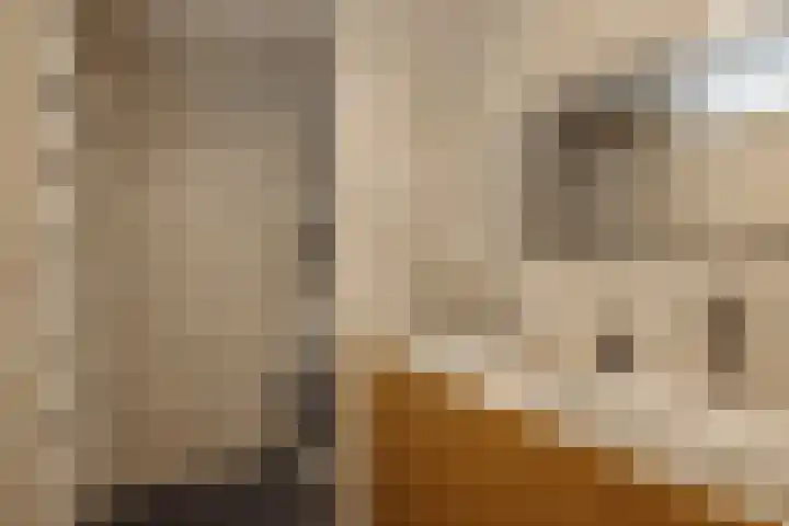 Tretjakovlaan 104 Amsterdam thumbnail 13