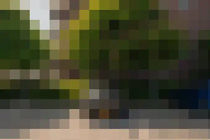 Tretjakovlaan 104 Amsterdam thumbnail 18