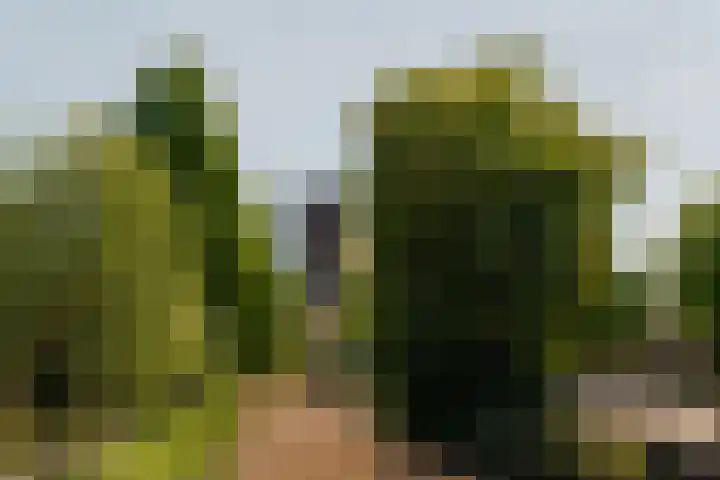 Tretjakovlaan 104 Amsterdam thumbnail 20
