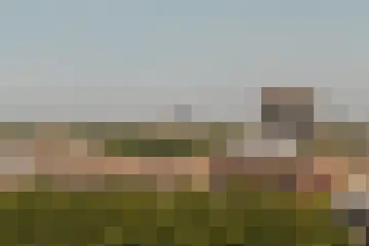Tretjakovlaan 104 Amsterdam thumbnail 8