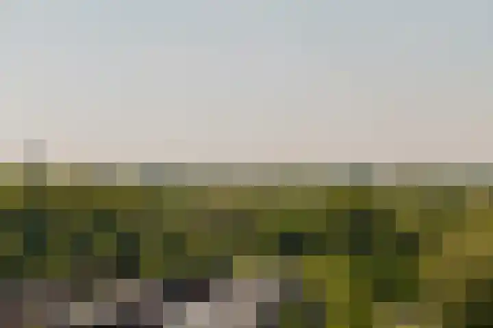 Tretjakovlaan 104 Amsterdam thumbnail 9