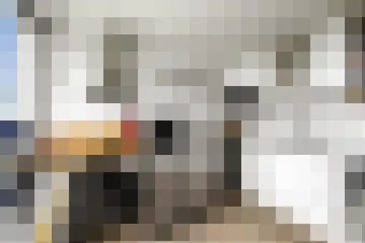 Tretjakovlaan 110 Amsterdam thumbnail 27