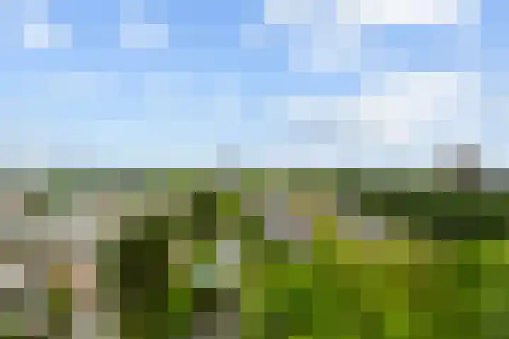 Tretjakovlaan 110 Amsterdam thumbnail 31