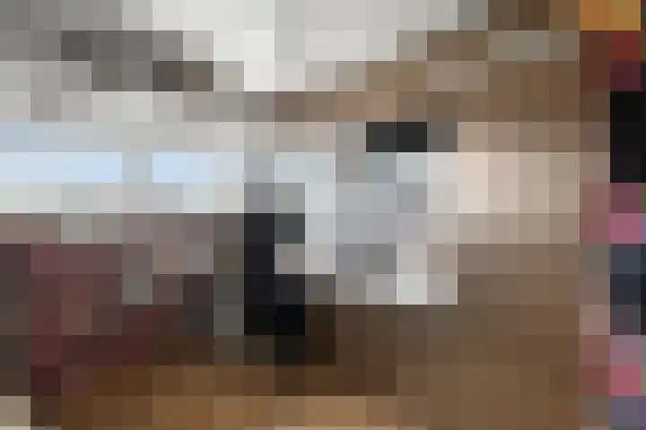 Tretjakovlaan 110 Amsterdam thumbnail 34