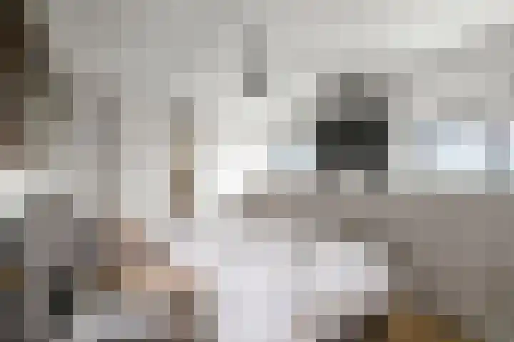 Tretjakovlaan 110 Amsterdam thumbnail 35