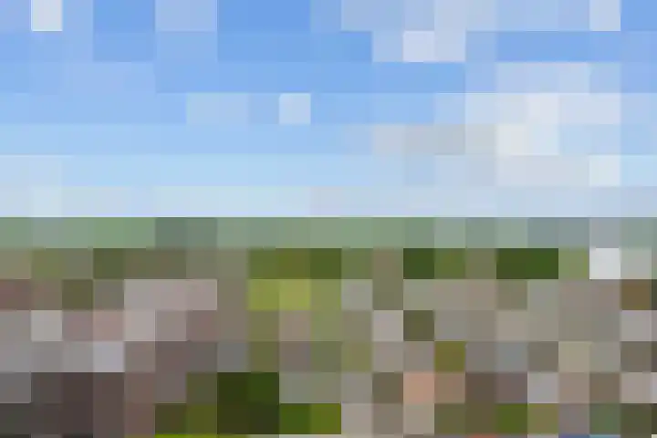 Tretjakovlaan 110 Amsterdam thumbnail 52