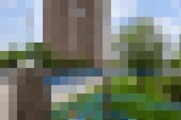 Tretjakovlaan 110 Amsterdam thumbnail 57