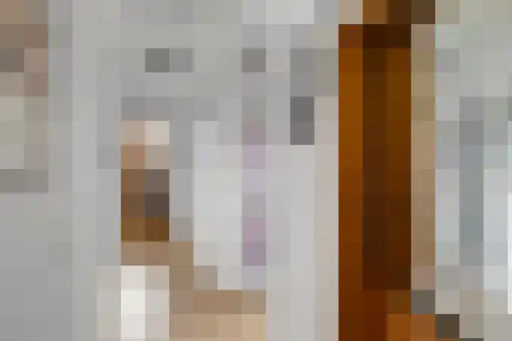 Tretjakovlaan 110 Amsterdam thumbnail 6