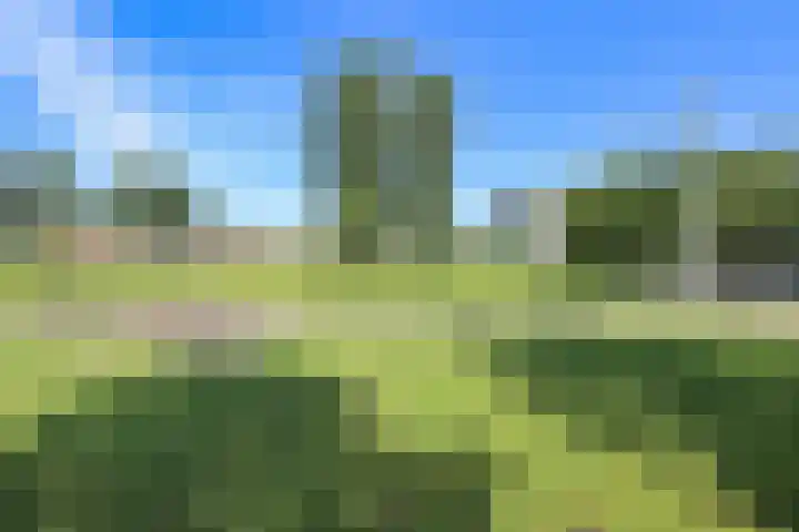 Tretjakovlaan 110 Amsterdam thumbnail 61