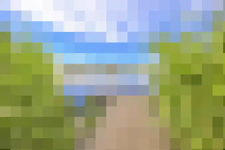 Tretjakovlaan 110 Amsterdam thumbnail 63