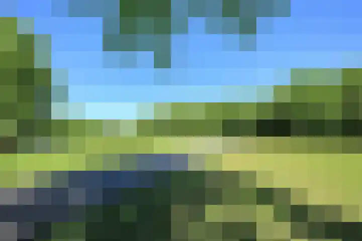 Tretjakovlaan 110 Amsterdam thumbnail 64