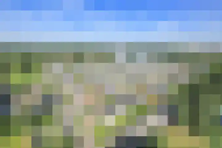 Tretjakovlaan 110 Amsterdam thumbnail 66