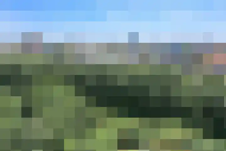 Tretjakovlaan 110 Amsterdam thumbnail 70