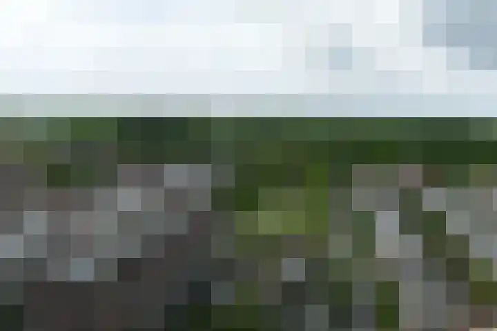 Tretjakovlaan 110 Amsterdam thumbnail 71