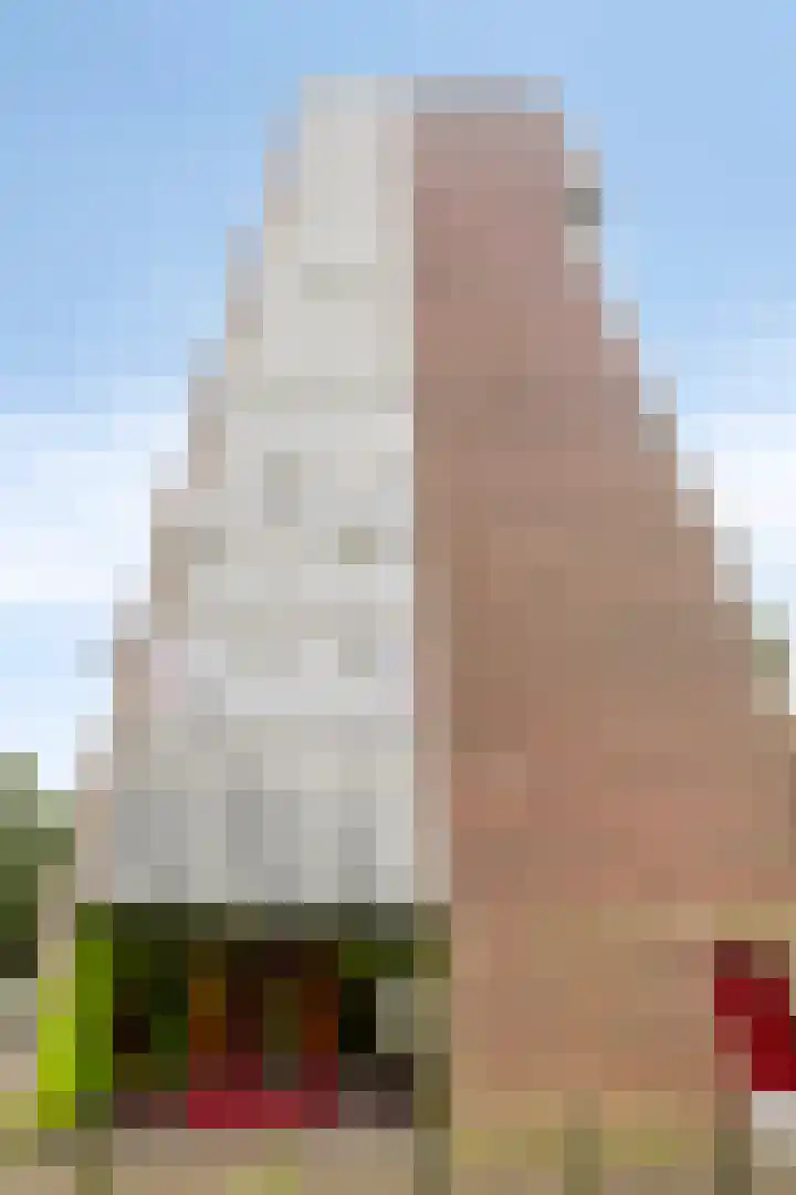 Tretjakovlaan 90 Amsterdam thumbnail 31