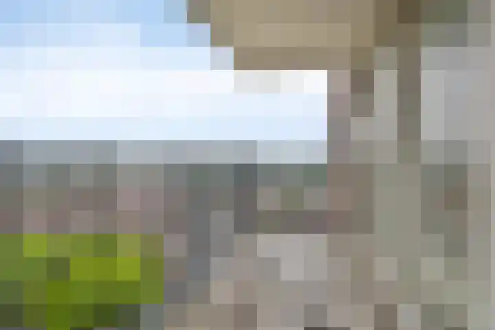 Tretjakovlaan 90 Amsterdam thumbnail 5