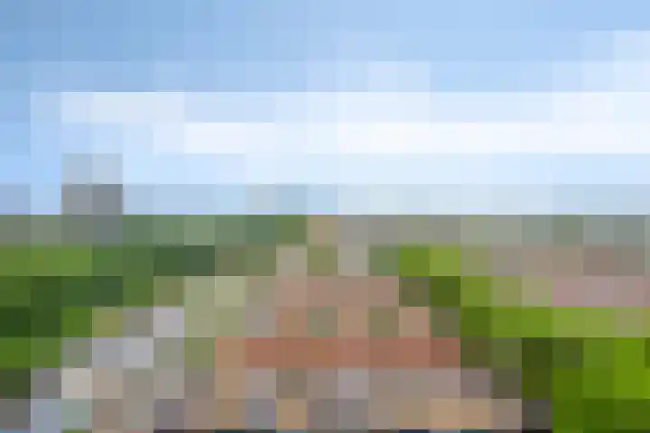 Tretjakovlaan 90 Amsterdam thumbnail 6