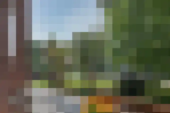 Treublaan 11 1 Arnhem thumbnail 11