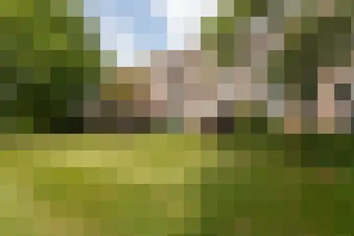 Treublaan 11 1 Arnhem thumbnail 18