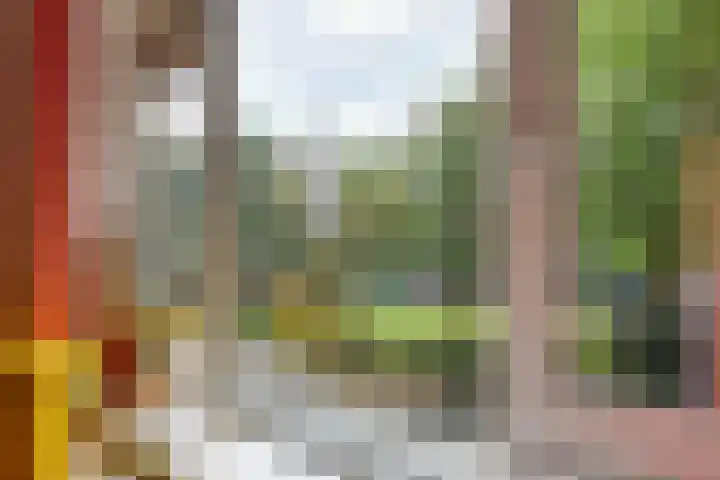 Treublaan 11 1 Arnhem thumbnail 9