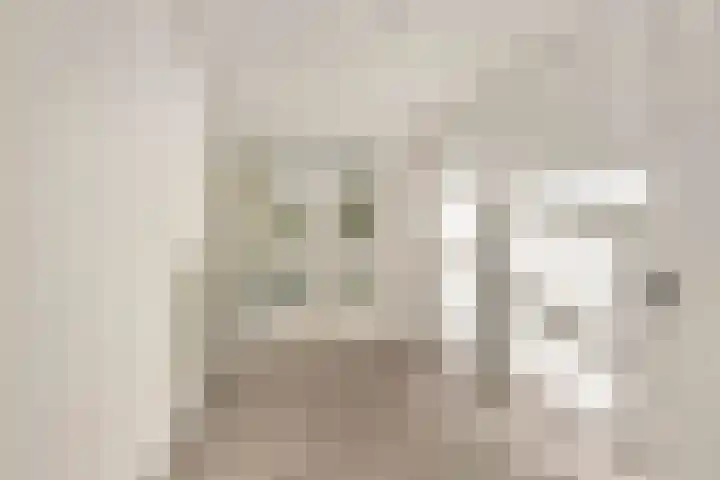 Treublaan 11 2 Arnhem thumbnail 11