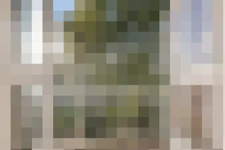 Treublaan 11 2 Arnhem thumbnail 12