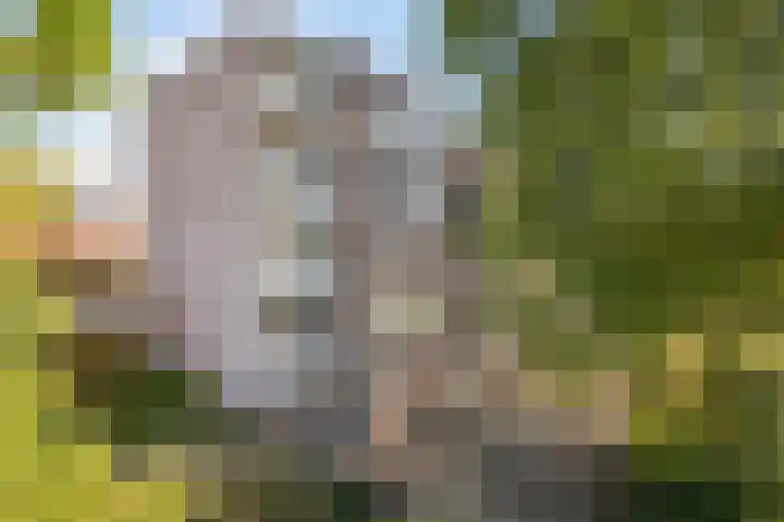 Treublaan 11 2 Arnhem thumbnail 23